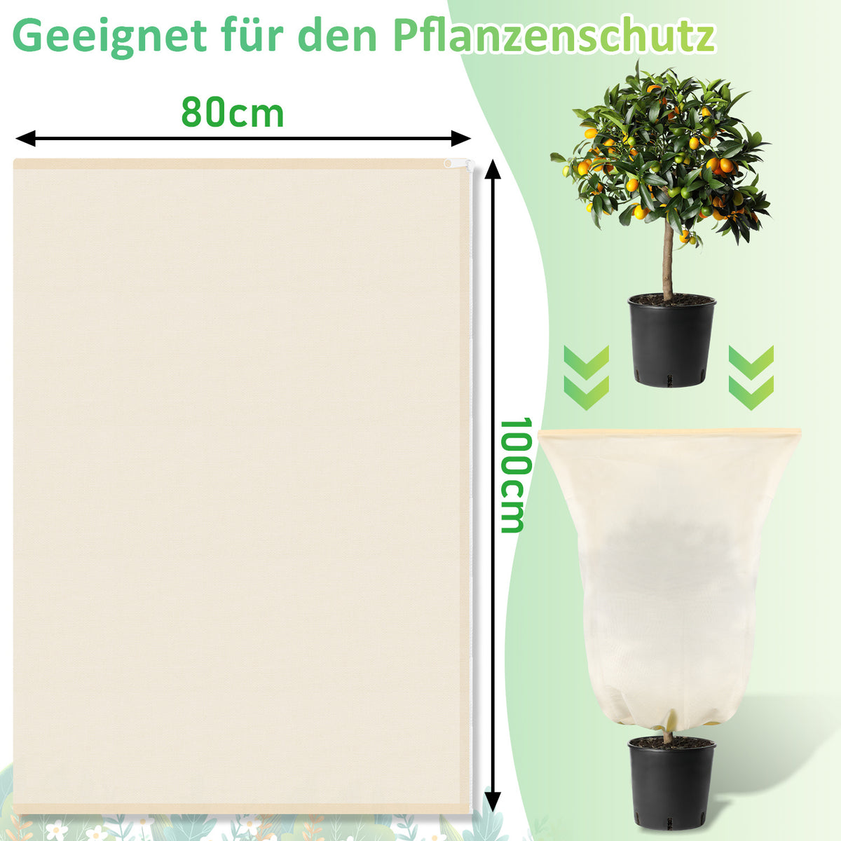 Winterschutzhaube für Pflanzen & Palmen – 100 g/m² Vlies mit Reißverschluss