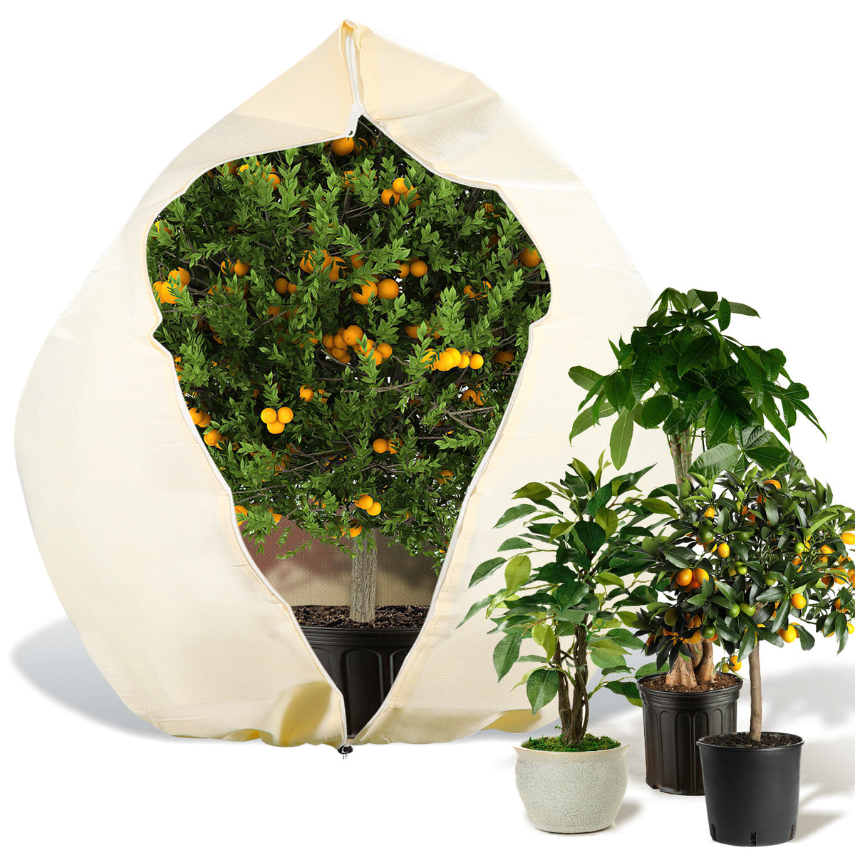 Winterschutzhaube für Pflanzen & Palmen – 100 g/m² Vlies mit Reißverschluss