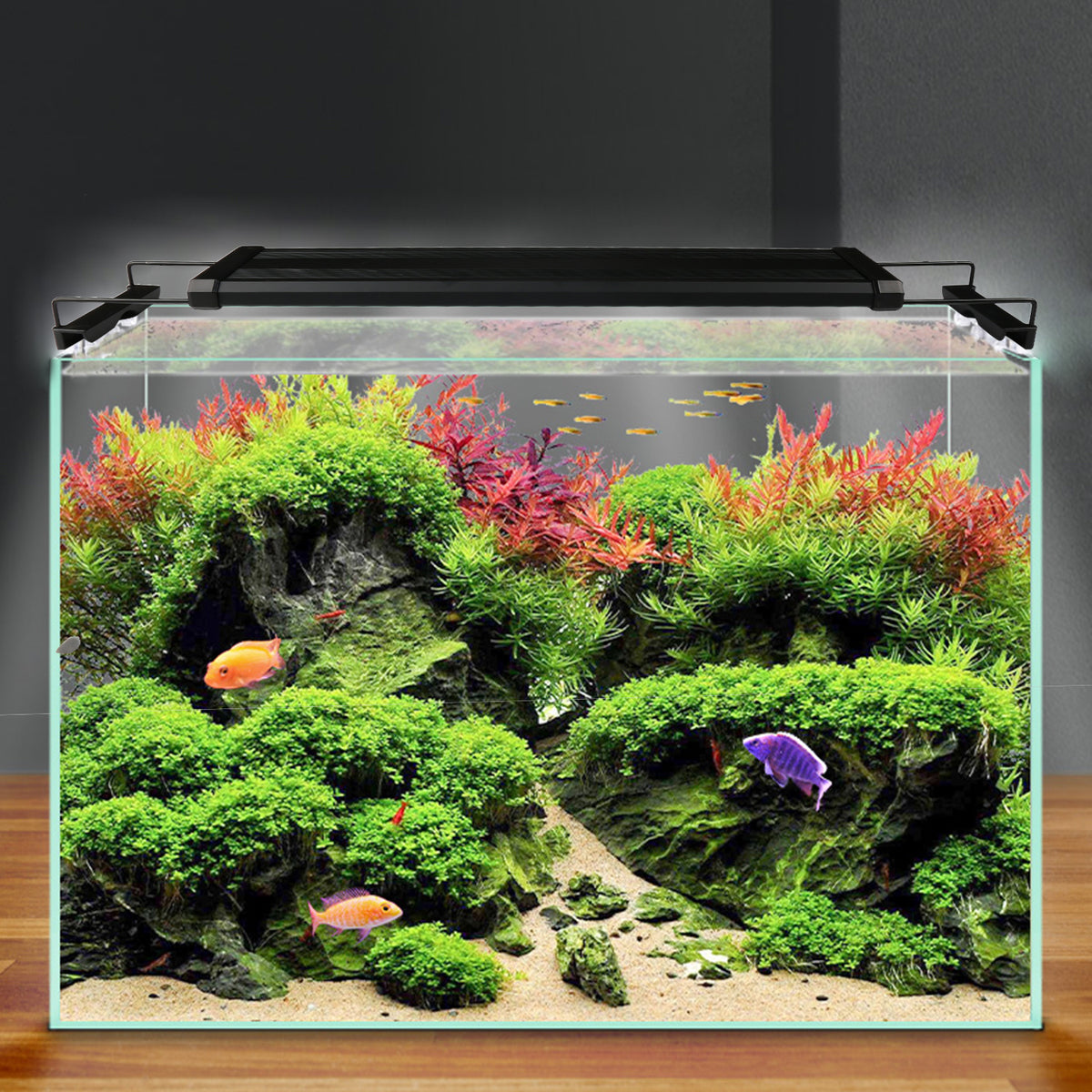 LED Aquariumbeleuchtung Vollspektrum mit Timer – 10–45 W, 30–130 cm