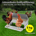 Geflügelfutterautomat aus verzinktem Stahl mit ca. 5 kg Futterkapazität