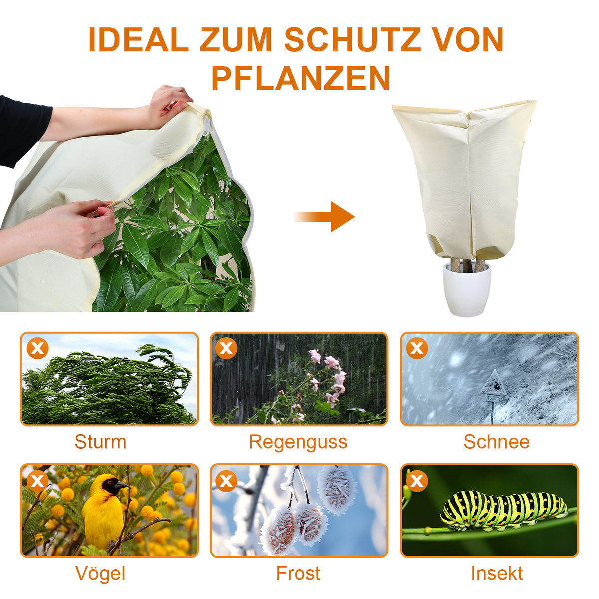 Winterschutzhaube für Pflanzen & Palmen – 100 g/m² Vlies mit Reißverschluss