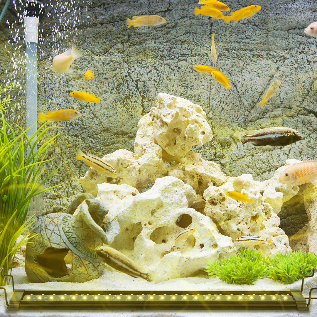 LED Aquariumbeleuchtung RGB Vollspektrum mit Fernbedienung – 12–36 W
