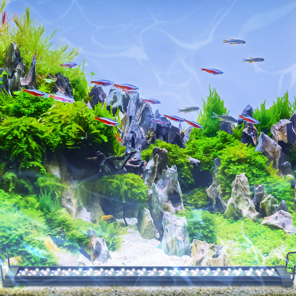 LED Aquariumbeleuchtung RGB Vollspektrum mit Fernbedienung – 12–36 W