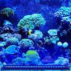 LED Aquariumbeleuchtung RGB Vollspektrum mit Fernbedienung – 12–36 W