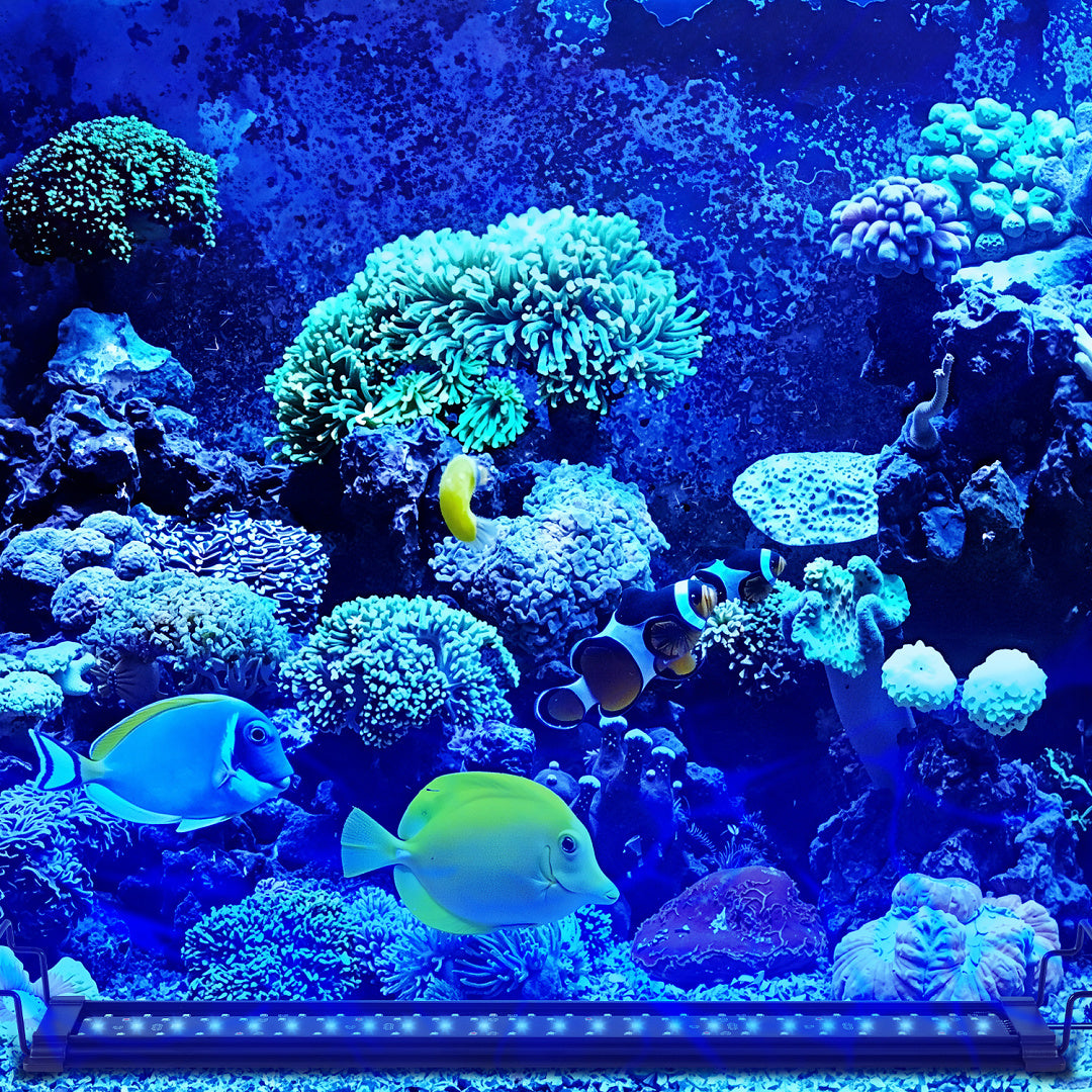 LED Aquariumbeleuchtung RGB Vollspektrum mit Fernbedienung – 12–36 W