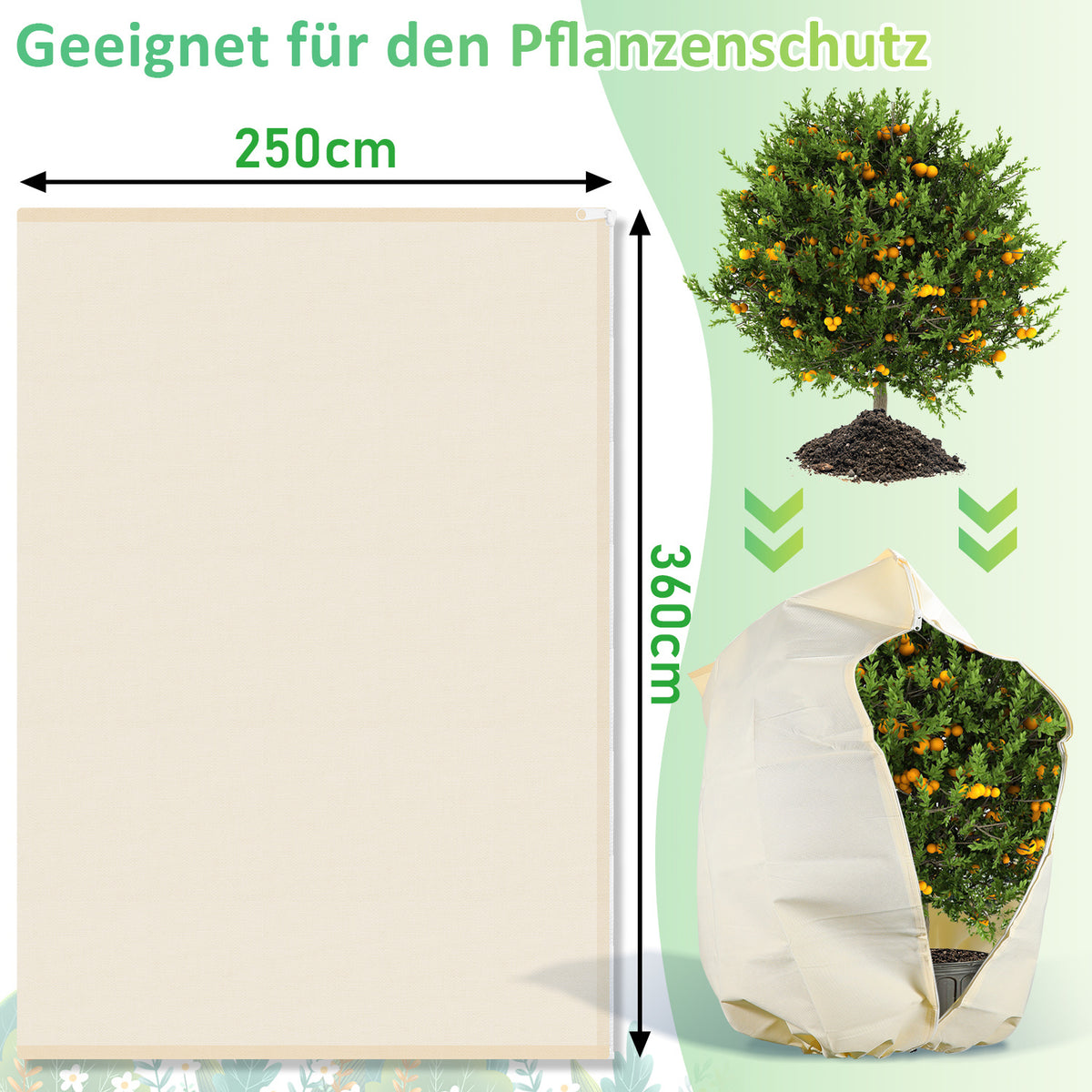 Winterschutzhaube für Pflanzen & Palmen – 100 g/m² Vlies mit Reißverschluss