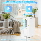 Cecaylie Luftentfeuchter mit automatischer Entfeuchtung und Timerfunktion