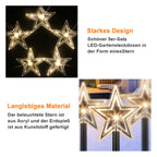 LED Weihnachtssterne Gartenstecker 5/10er-Set mit Timer, warmweiß